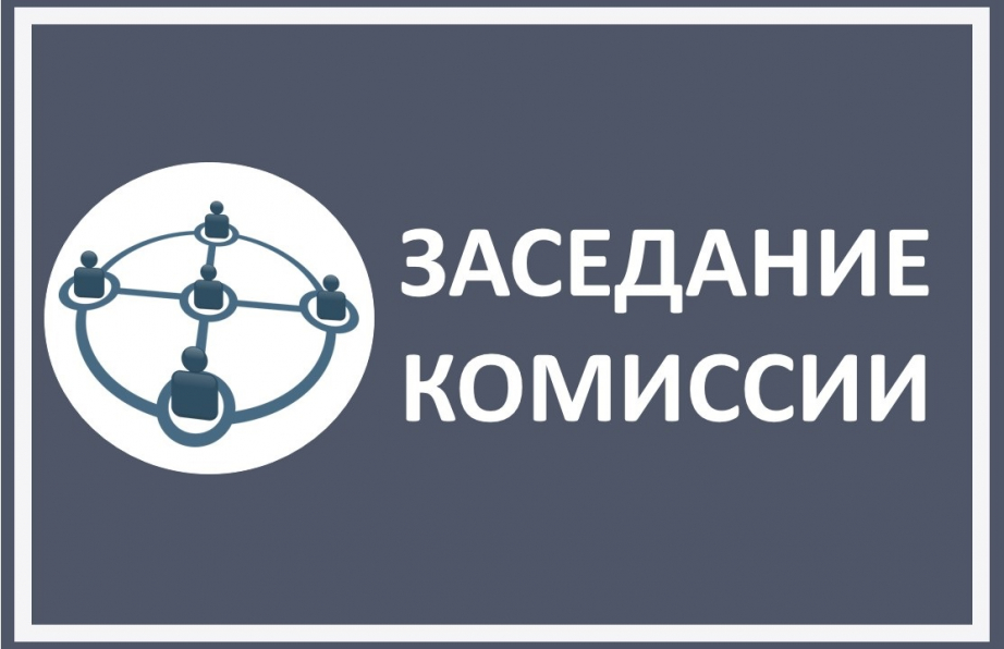 Состоялось заседание комиссии по осуществлению закупок.